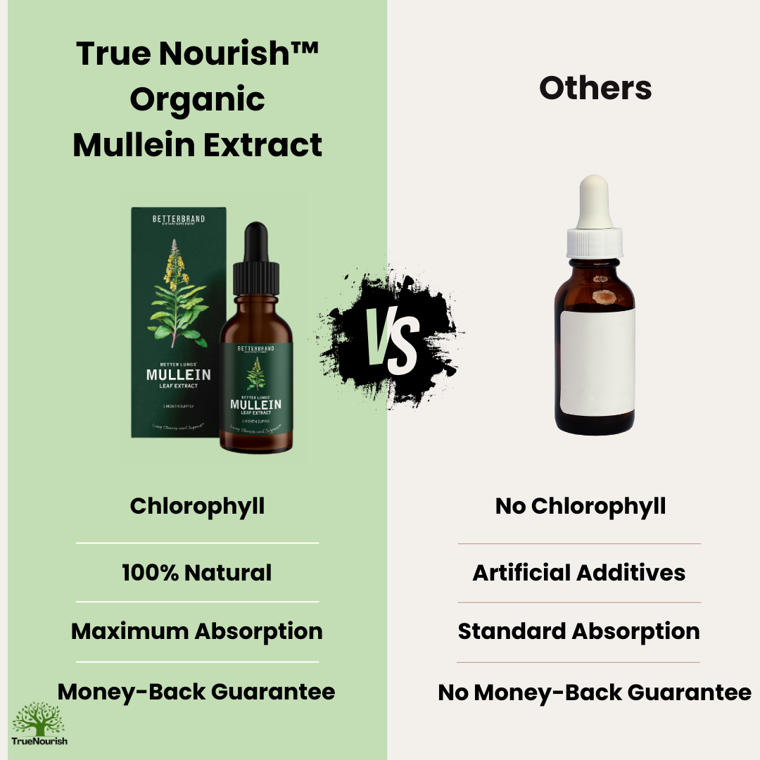 Organic Mullein Extract with Chlorophyll