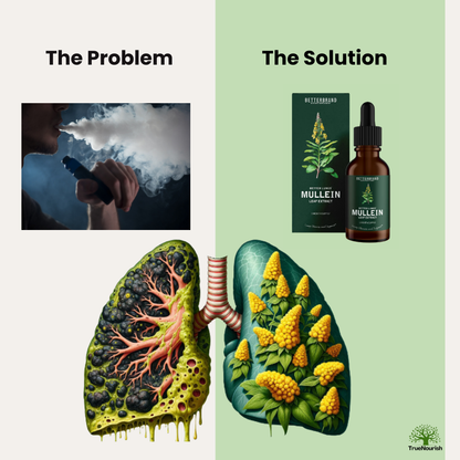 Organic Mullein Extract with Chlorophyll