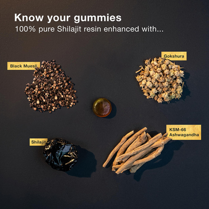 Holistic Shilajit Gold Gummies