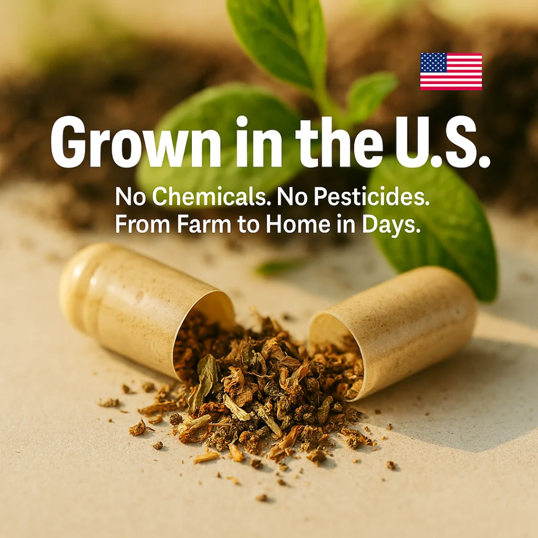 True Prostate Support