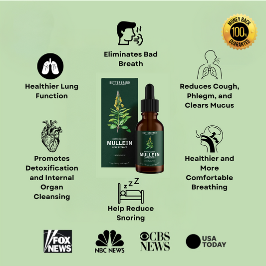 Organic Mullein Extract with Chlorophyll