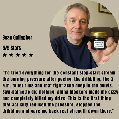 100% Pure - Himalayan Shilajit